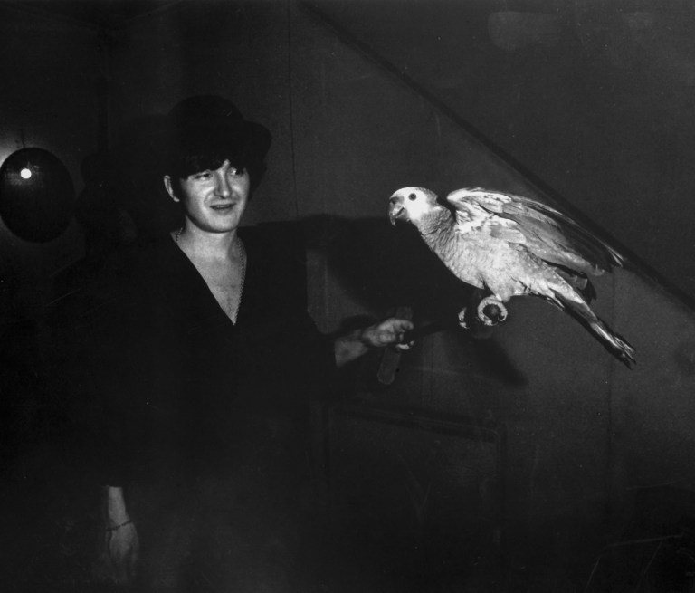 Michone papagal 1970.jpg