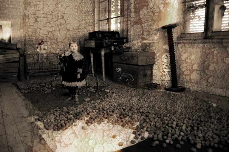 Imagechambre noixSepia.jpg