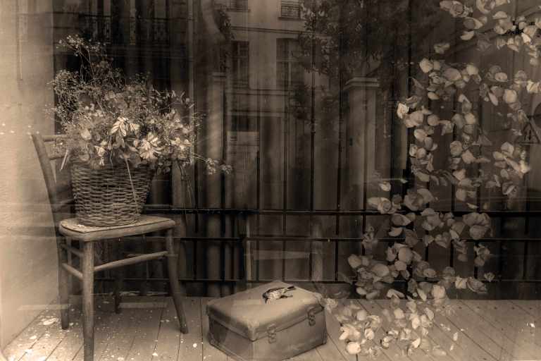 Imagevitrine fleurs.sepia.jpg