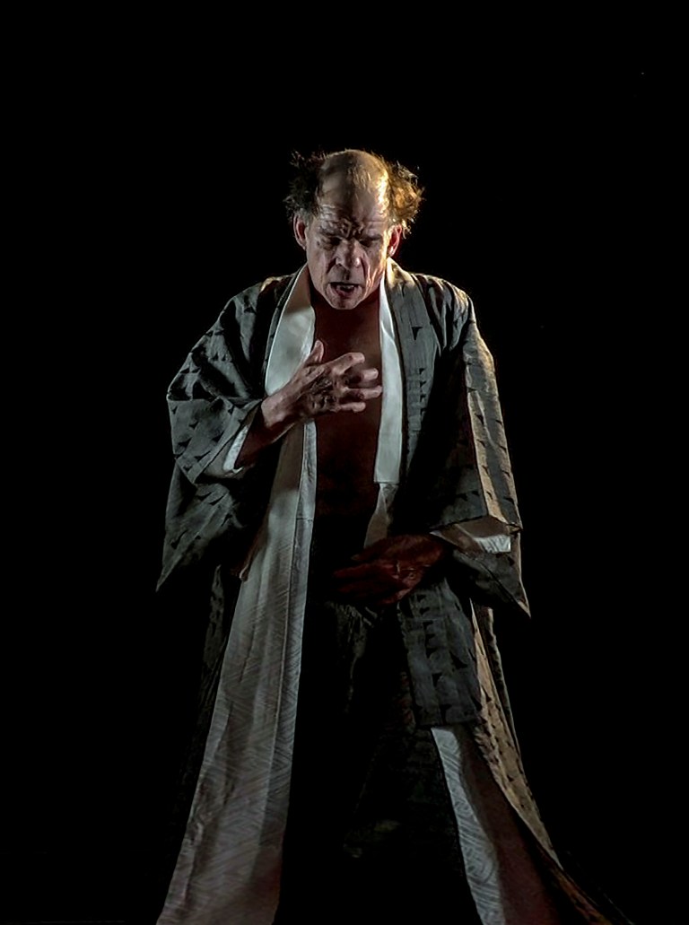 Denis Lavant Artaud 78