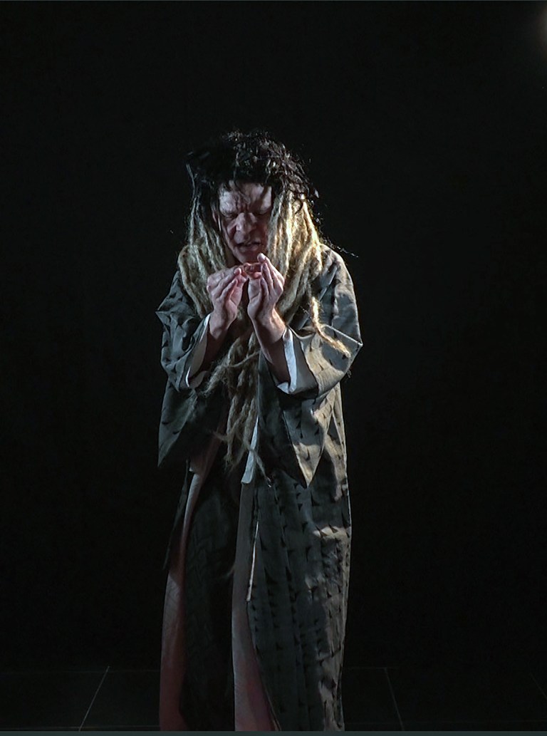 Denis Lavant Artaud 83